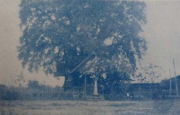 piralai