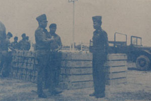 section-2