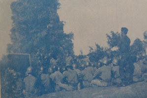 section-3