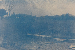section5-3